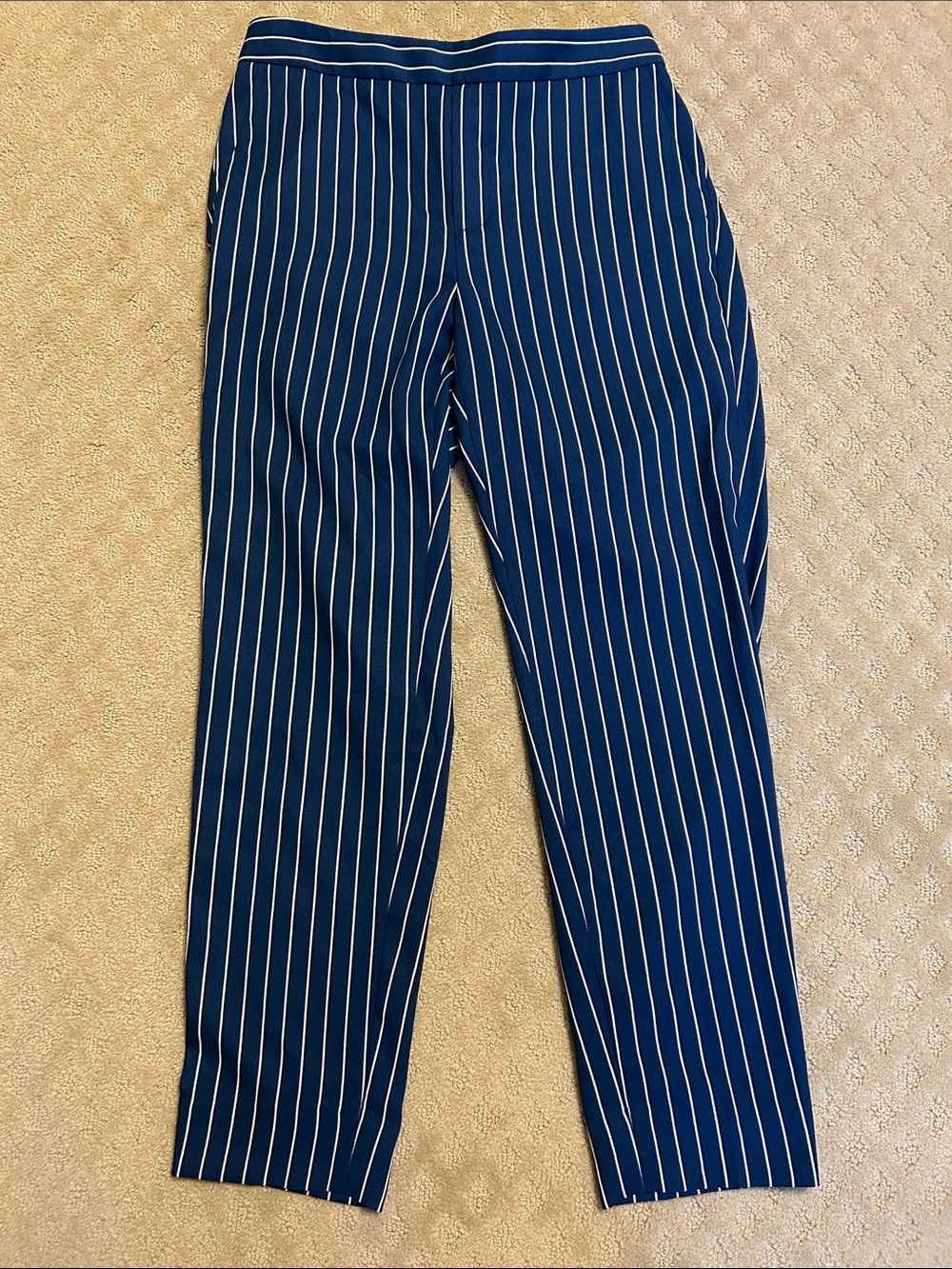 NWT Banana Republic Hayden Pants in blue and white stripe, Size 4